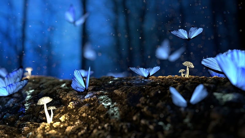 Enchanted Forest Grove
